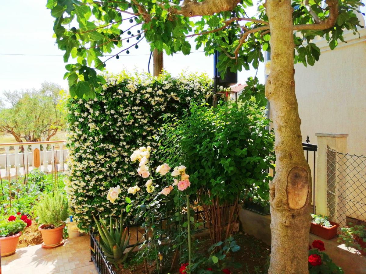 Apartments Brkovic Sukošan Extérieur photo